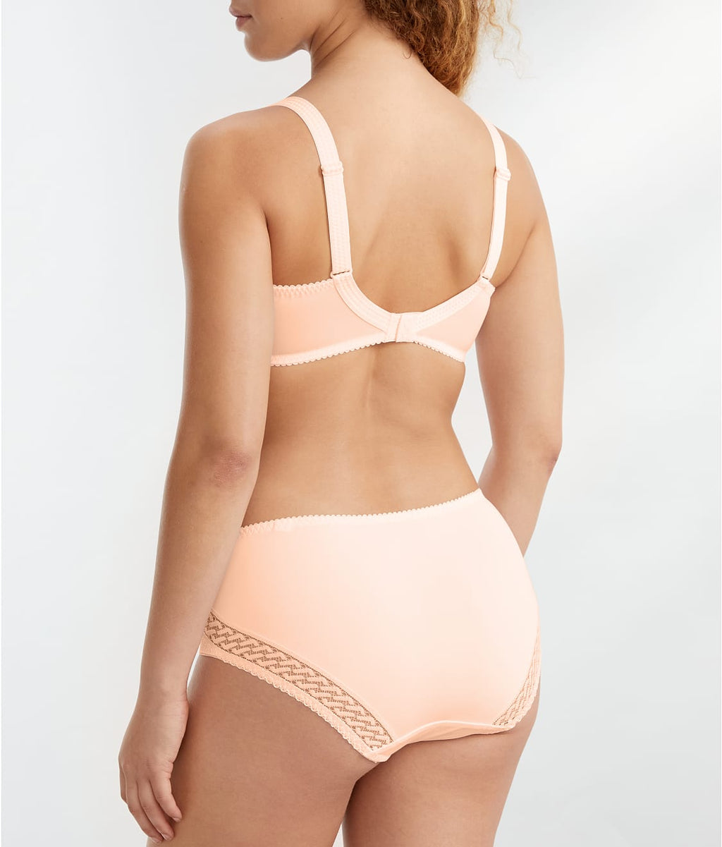 Montara Full Brief