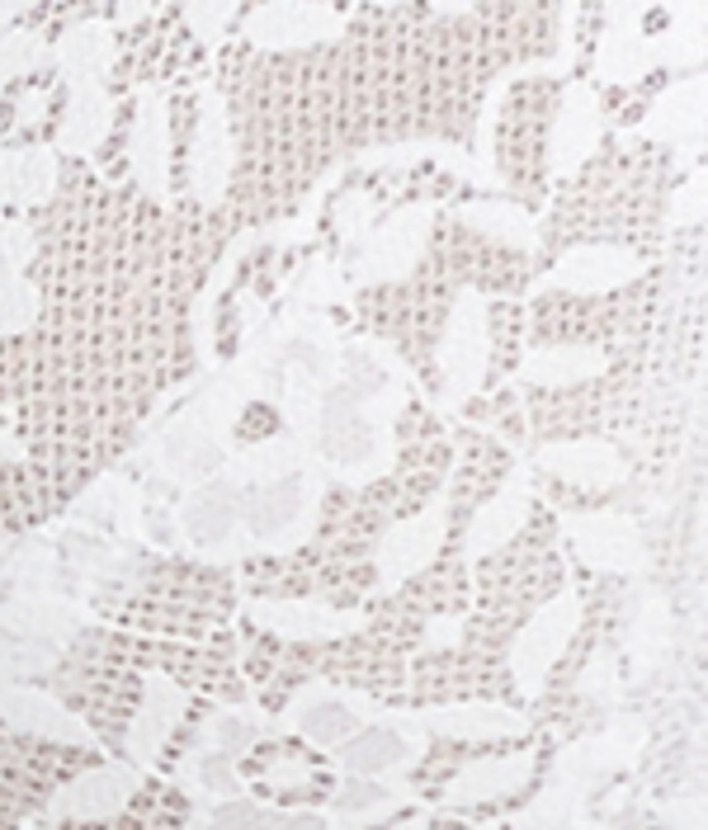 Everyday Essential Lace Unlined Demi Bra