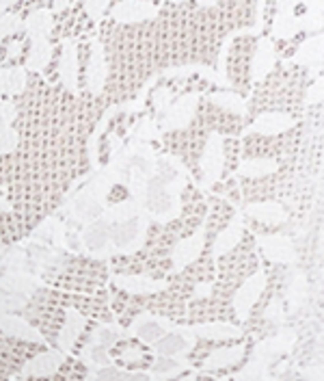 Everyday Essential Lace Unlined Demi Bra