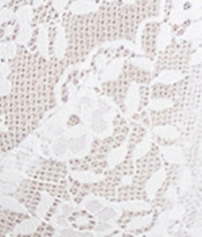 Everyday Essential Lace Unlined Demi Bra