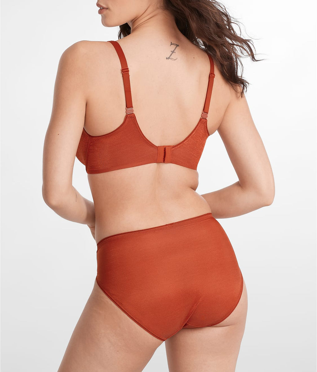 Everyday Essential Shimmer French Cut Bikini