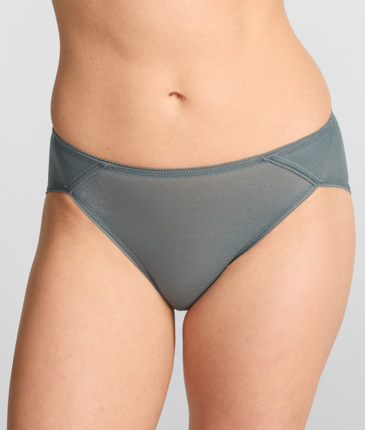 Everyday Essential Shimmer French Cut Bikini