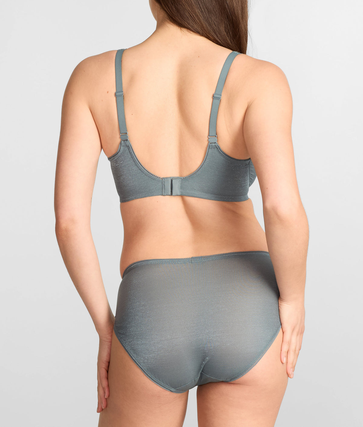 Everyday Essential Shimmer French Cut Bikini