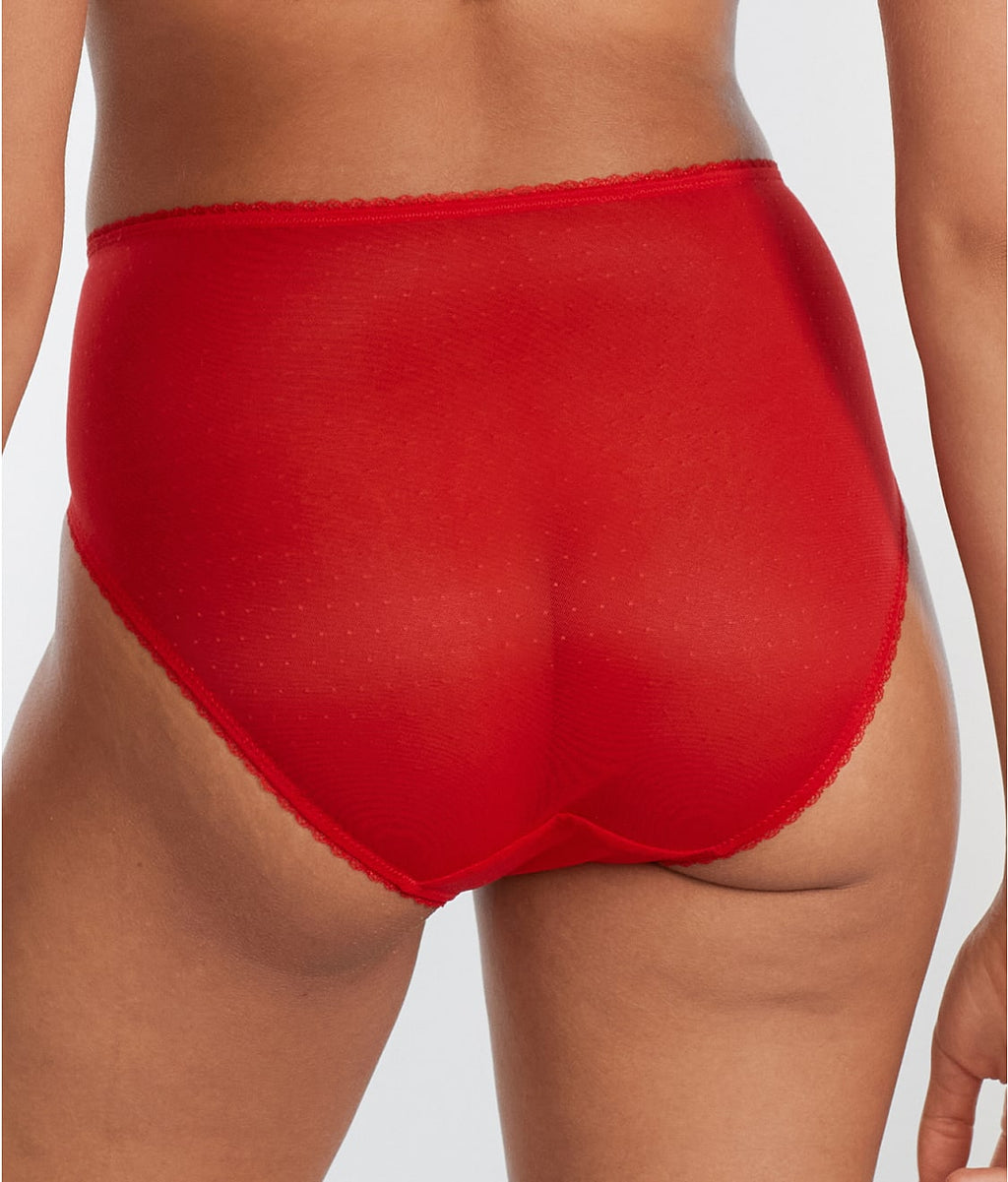 Retro Chic Hi-Cut Brief
