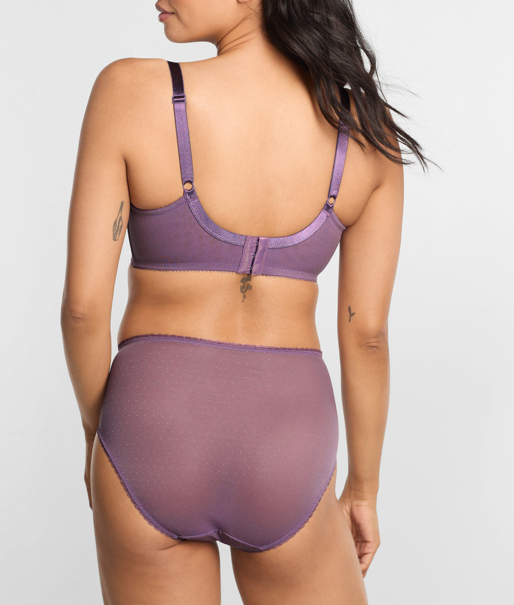 Retro Chic Hi-Cut Brief