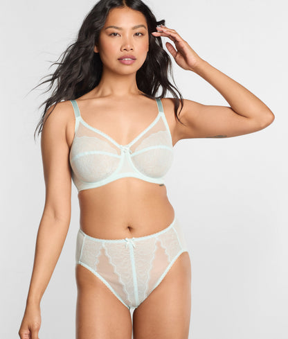 Retro Chic Hi-Cut Brief