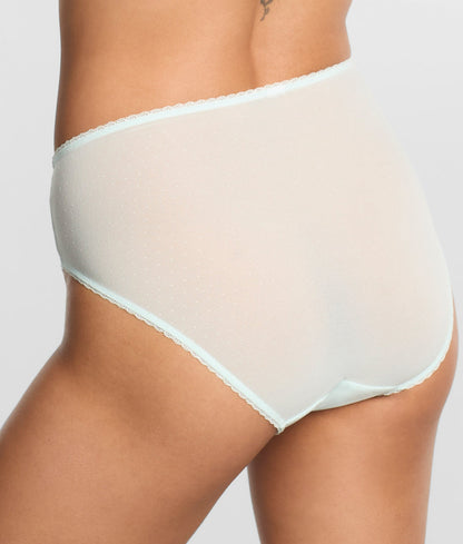 Retro Chic Hi-Cut Brief
