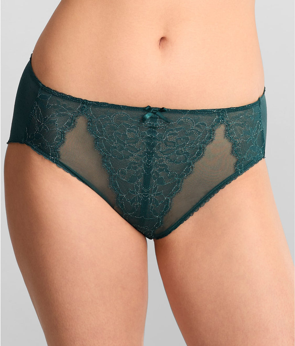 Retro Chic Hi-Cut Brief