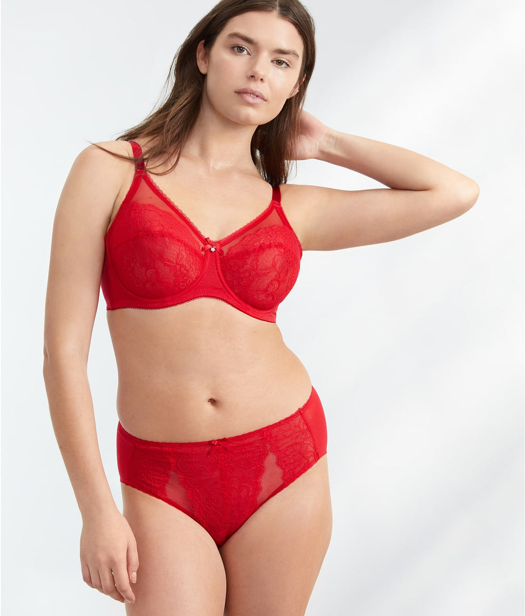 Retro Chic Hi-Cut Brief
