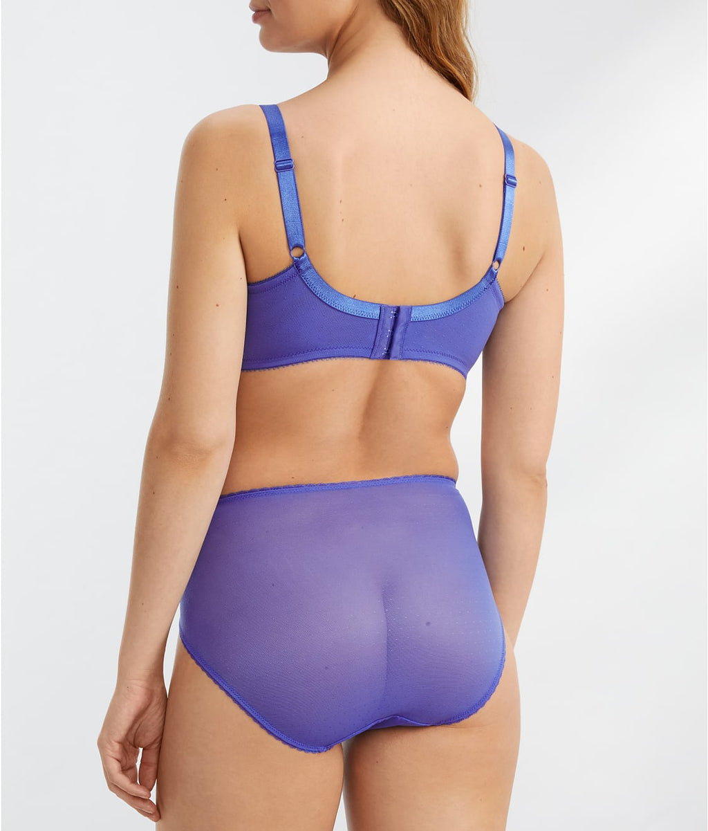 Retro Chic Hi-Cut Brief